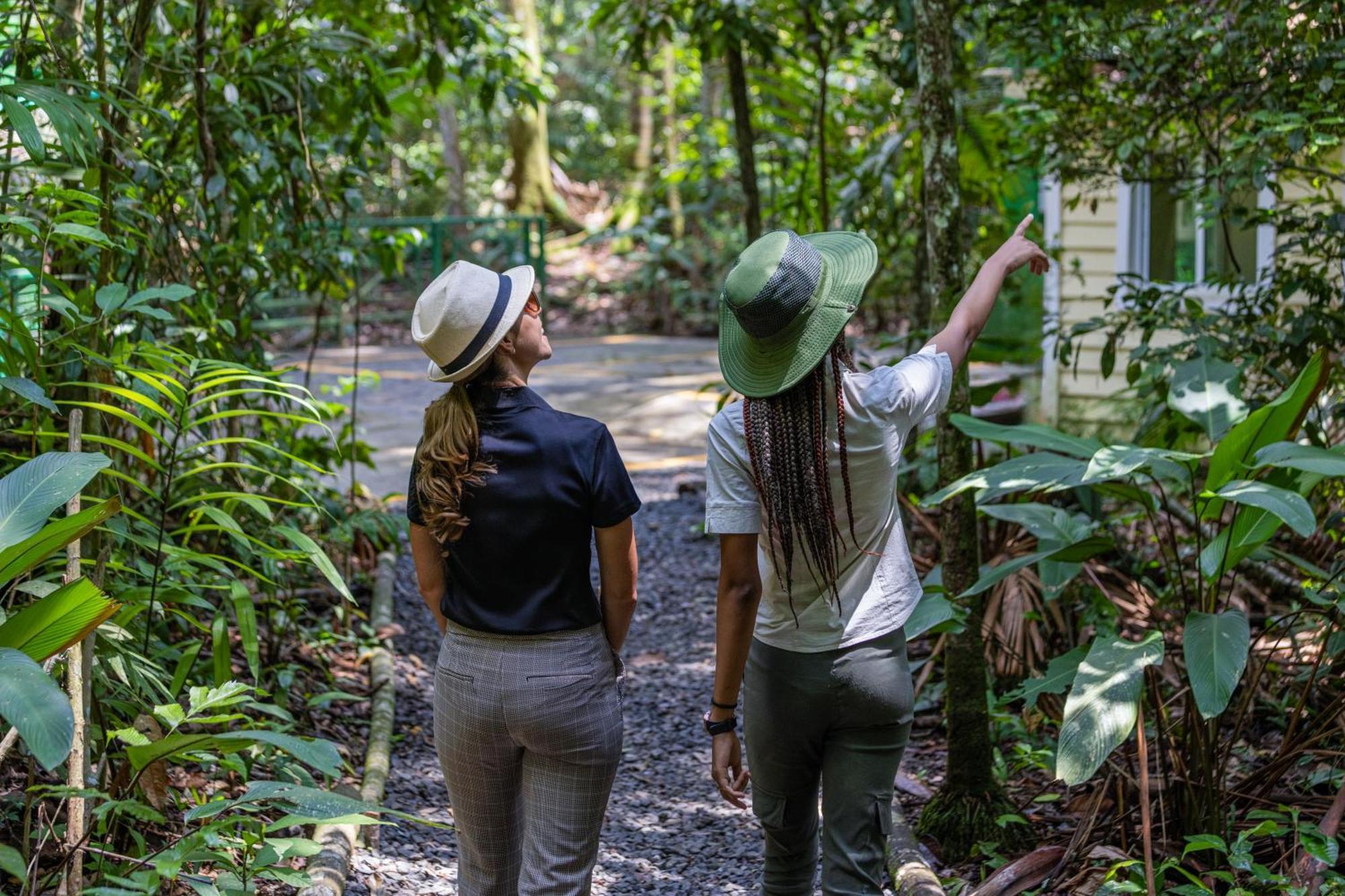 Gamboa Rainforest Reserve מראה חיצוני תמונה