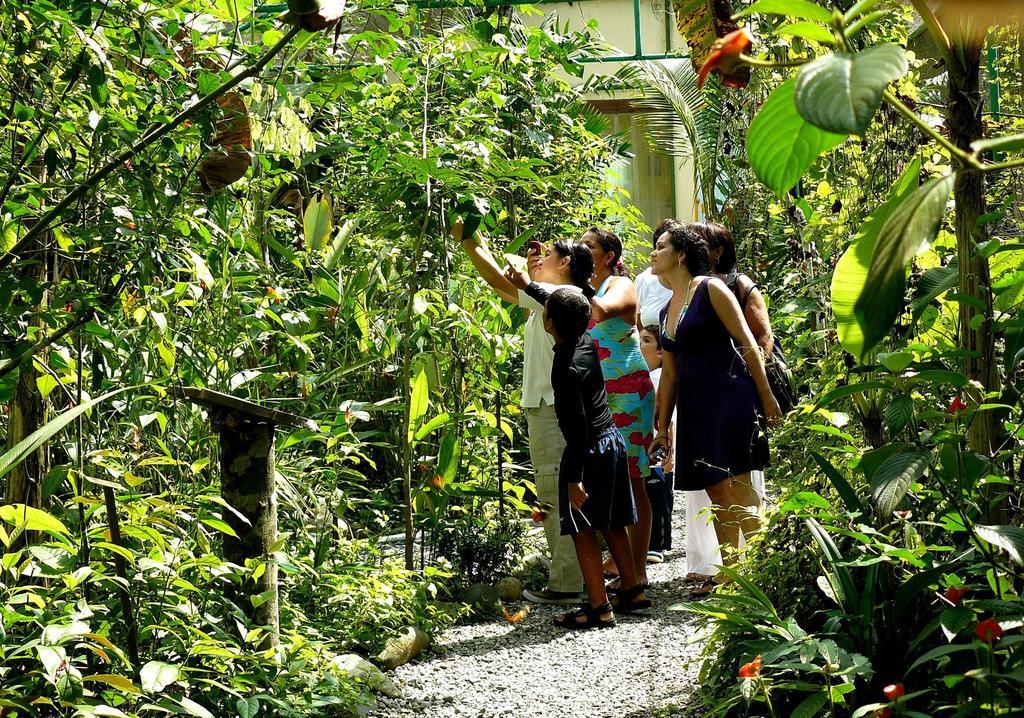 Gamboa Rainforest Reserve מראה חיצוני תמונה